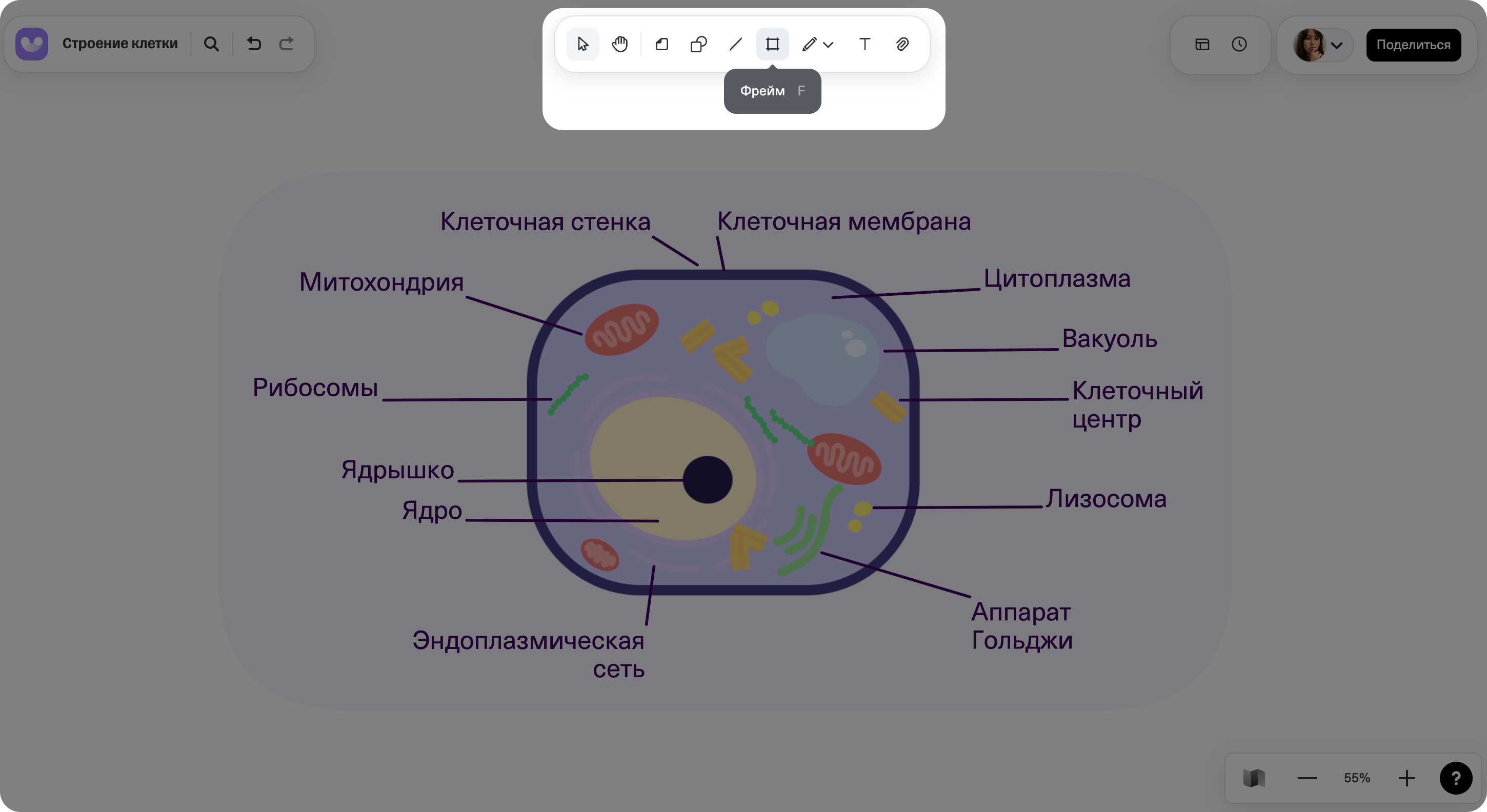 Где находится фрейм